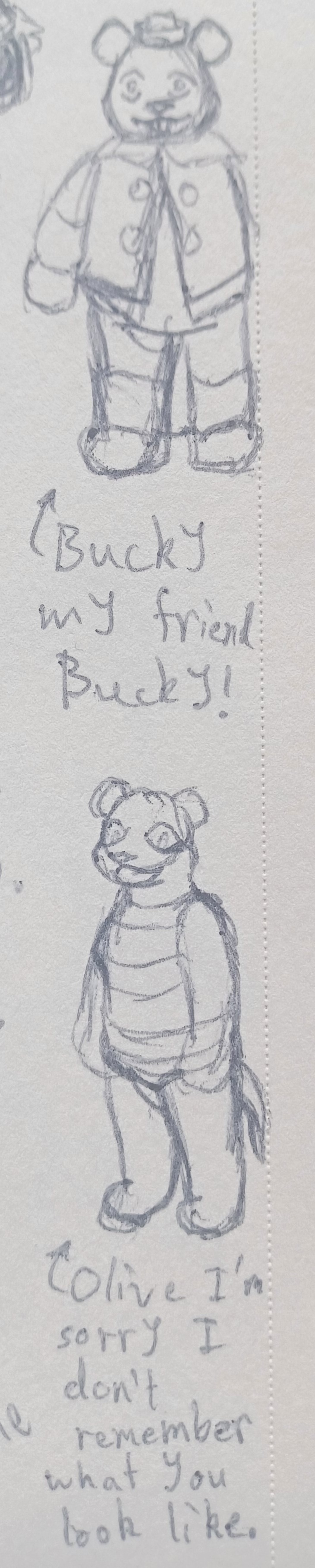 A drawing of Bucky and Olive.
    
    Bucky is an anthropomorphic beaver who wears a sailor's cap and sleeveless sailor's shirt. Olive is an anthropomorphic otter that wears a one piece swimsuit with white and red stripes.
    
    The first drawing depicts Bucky facing towards the viewer and smiling. An arrow points to him that reads: Bucky my friend Bucky!
    
    The second drawing is of Olive turned towards the left in 3/4 view. She's smiling an open-mouthed smile. An arrow points to her that reads: Olive I'm sorry I don't remember what you look like.